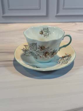 Rosina Fine Bone China Tea Cup & Saucer England "Centenary Dear"